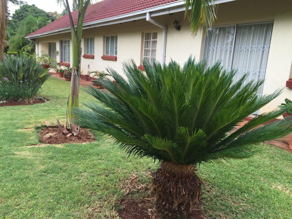 Palm Villa هراري المظهر الخارجي الصورة